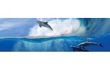 Fotobehang Vlies Dolfijnen | Blauw | GROOT 832x254cm