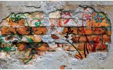 Fotobehang Vlies | Graffiti | Oranje | 368x254cm (bxh)