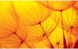 Fotobehang Abstract | Geel, Oranje | 208x146cm