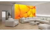 Fotobehang Papier Abstract | Geel, Oranje | 368x254cm