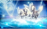 Fotobehang Paarden | Blauw | 104x70,5cm