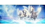 Fotobehang Paarden | Blauw | 250x104cm