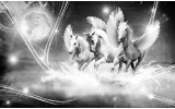 Fotobehang Paarden | Grijs | 104x70,5cm