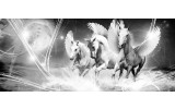 Fotobehang Paarden | Grijs | 250x104cm