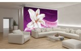 Fotobehang Art | Paars | 104x70,5cm